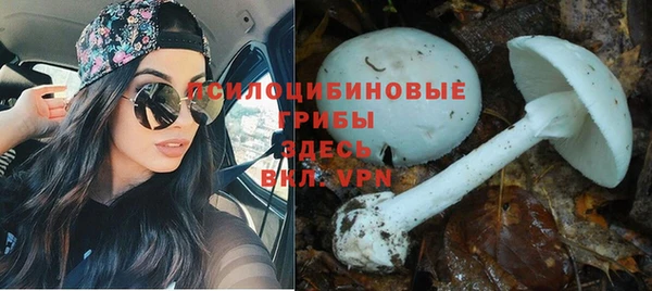 МДПВ Верхнеуральск